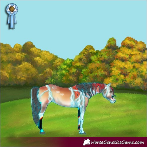 Horse Color:Thunderstruck Buckskin Onyx Sabino Tobiano 