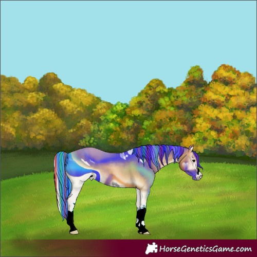 Horse Color:ERROR: UNKNOWN ANOMALY