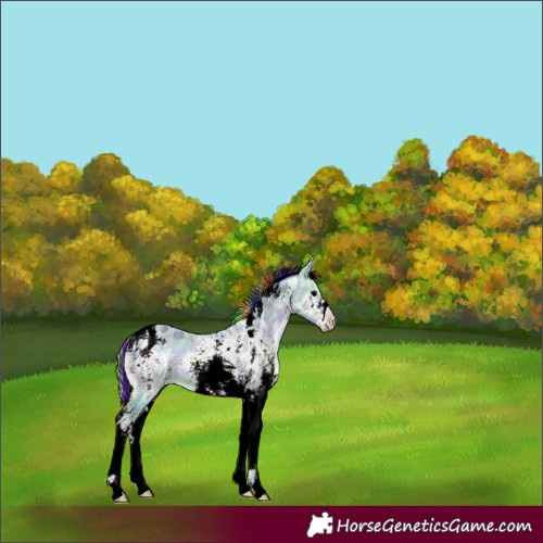 Horse Color:Painted Watercolor Chocolate Bay Ice Onyx Sabino Tobiano 