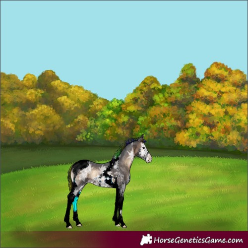 Horse Color:Painted Brown Ice Onyx Sabino Tobiano 