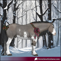 Horse Color:Grullo Sabino Splash  and Grullo Sabino Splash 