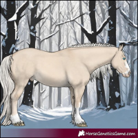 Horse Color:Cremello Dun 