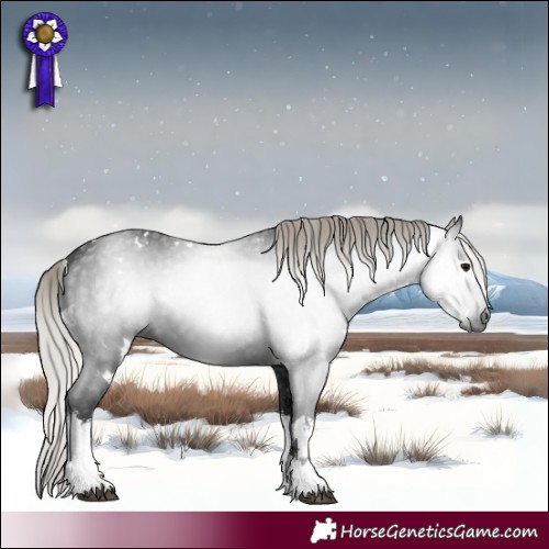 Horse Color:Gray White Spotted Silver Brown 
