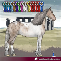 Horse Color:Silver Brown Dun Tobiano Blanket Rabicano Brindle 