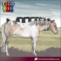 Horse Color:Silver Brown Dun Tobiano Appaloosa Rabicano Brindle 