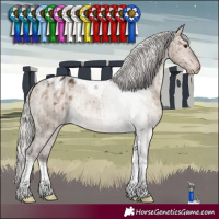 Horse Color:Silver Brown Dun Tobiano Appaloosa Rabicano Brindle 