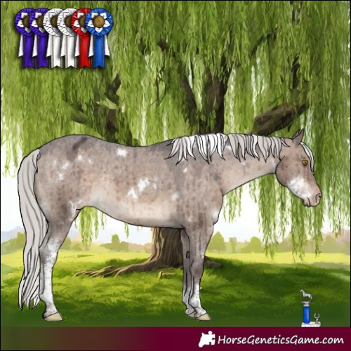 Horse Color:White Spotted Silver Brown Dun Tobiano Appaloosa Rabicano Brindle 