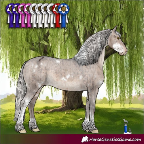 Horse Color:White Spotted Silver Brown Dun Tobiano Varnish Rabicano Brindle 