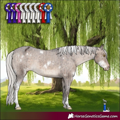 Horse Color:White Spotted Silver Brown Dun Tobiano Appaloosa Rabicano Brindle 
