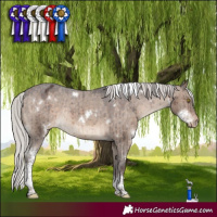 Horse Color:White Spotted Silver Brown Dun Tobiano Appaloosa Rabicano Brindle 