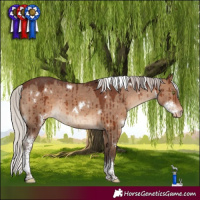 Horse Color:White Spotted Silver Brown Dun Tobiano Appaloosa Rabicano Brindle 