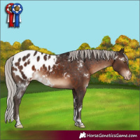 Horse Color:White Spotted Silver Brown Tobiano Appaloosa Rabicano 