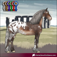 Horse Color:White Spotted Silver Brown Tobiano Blanket Rabicano