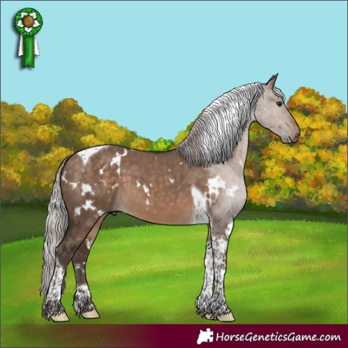 Horse Color:White Spotted Silver Brown Dun Tobiano 