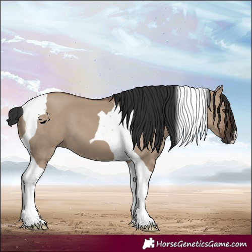 Horse Color:Liver Red Dun Tobiano
