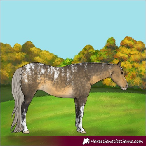 Horse Color:Powder White Silver Buckskin Dun 