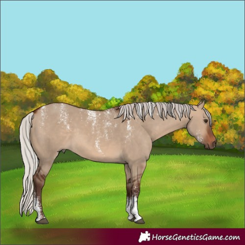 Horse Color:Powder White Silver Brown Dun 