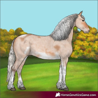 Horse Color:Silver Bay Dun Sabino Tobiano Frame Rabicano 