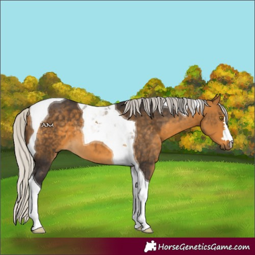 Horse Color:Silver Buckskin Tobiano 