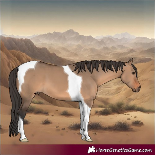 Horse Color:Brown Dun Tobiano 
