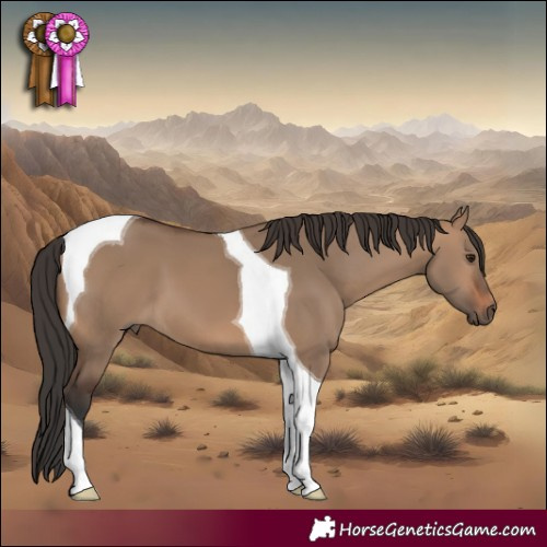 Horse Color:Brown Dun Tobiano 