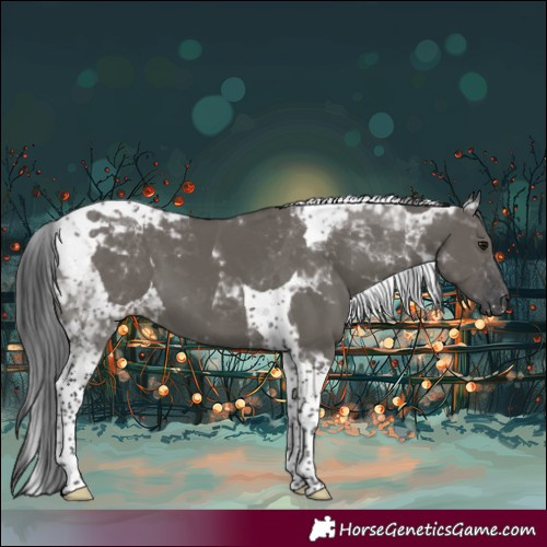 Horse Color:Grullo Tobiano 