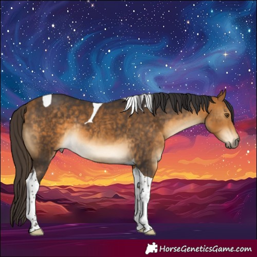 Horse Color:Buckskin Tobiano Rabicano 