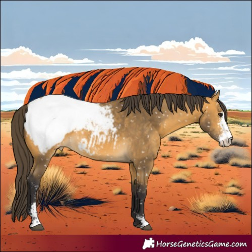 Horse Color:Buckskin Sabino Snowcap 