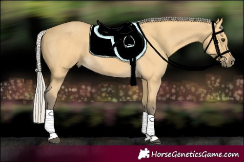 Horse Color:Silver Buckskin