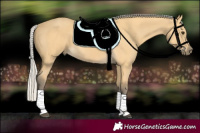 Horse Color:Silver Buckskin