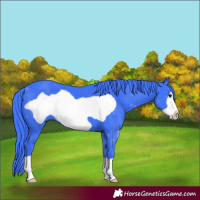 Horse Color:Watercolor Black Frame