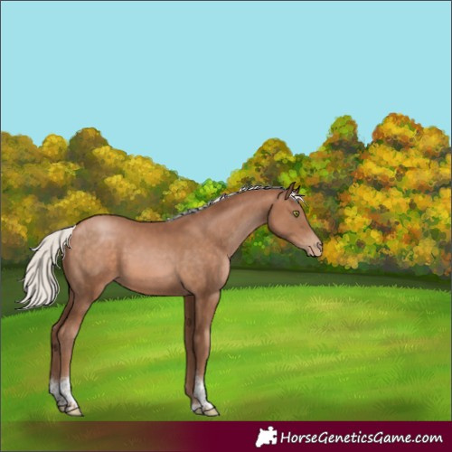 Horse Color:Silver Brown Pearl Tobiano
