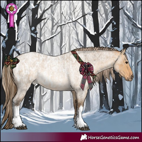 Horse Color:White Spotted Buckskin Roan Appaloosa Rabicano  and White Spotted Chocolate Palomino Roan Dun Rabicano 