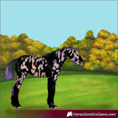 Horse Color:Void Nacre Watercolor Bay Dun Tobiano Near Leopard 
