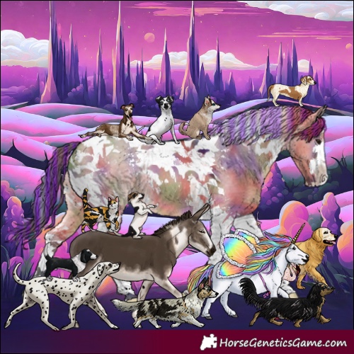 Horse Color:Painted Nacre Brown Dun Tobiano 