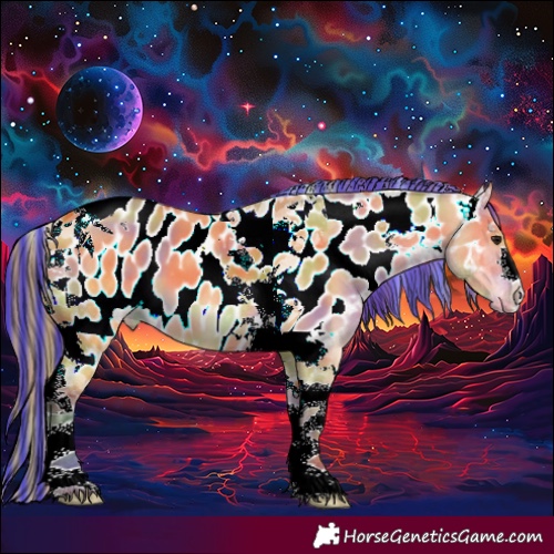 Horse Color:Painted Nacre Bay Dun Tobiano Appaloosa 