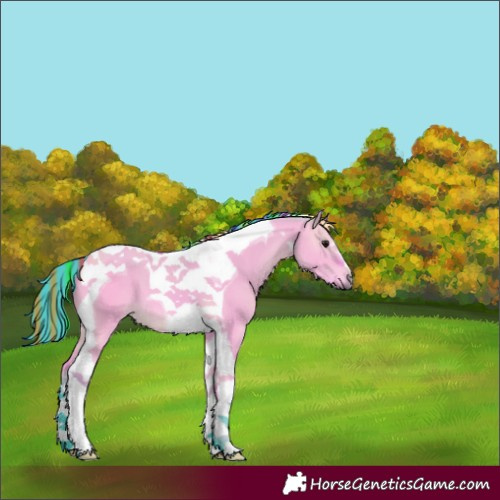 Horse Color:Painted Watercolor Bay Dun Tobiano 