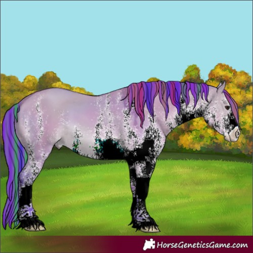 Horse Color:Painted Watercolor White Spotted Bay Dun 