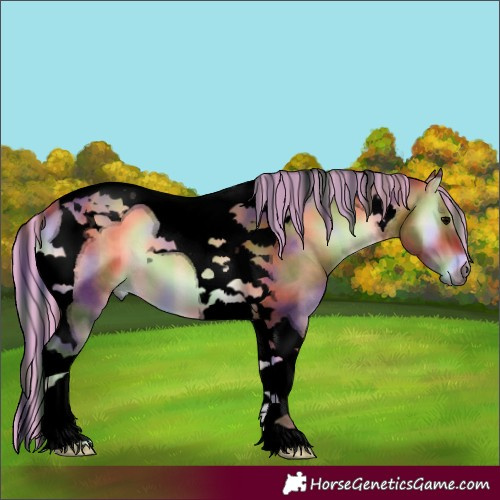 Horse Color:Void Painted Nacre Bay Onyx Tobiano 