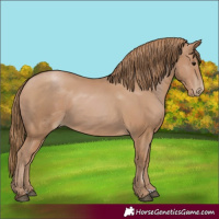 Horse Color:Black Pearl 