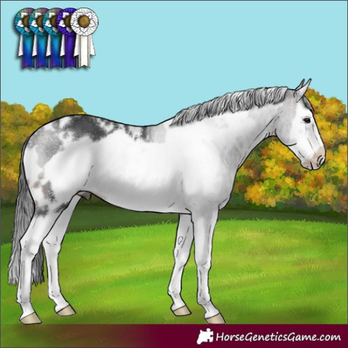 Horse Color:White Spotted Brown Splash Frame 