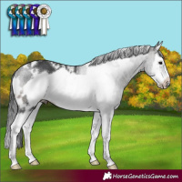 Horse Color:White Spotted Brown Splash Frame