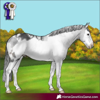 Horse Color:White Spotted Brown Splash Frame 