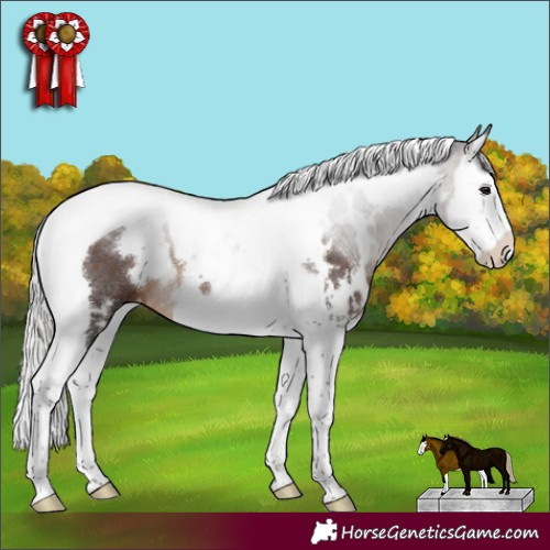 Horse Color:White Spotted Silver Brown Splash Tobiano Varnish Rabicano 