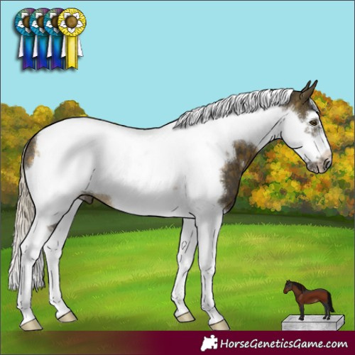 Horse Color:Silver Buckskin Sabino Tobiano Frame 