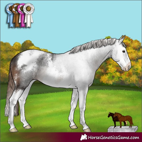 Horse Color:Liver Chestnut Sabino Splash 