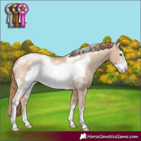 Horse Color:White Spotted Smoky Black Pearl Frame 