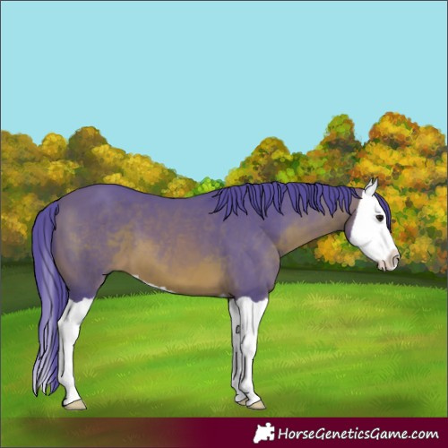 Horse Color:Watercolor Brown Splash