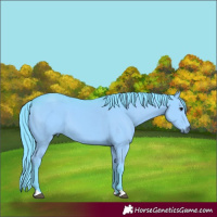 Horse Color:Watercolor Black 