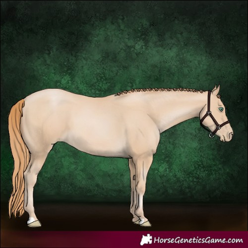 Horse Color:Smoky Black Pearl 